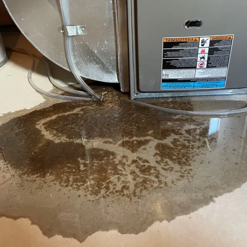 Pipe Burst and Leak Restoration in Adams County, IN