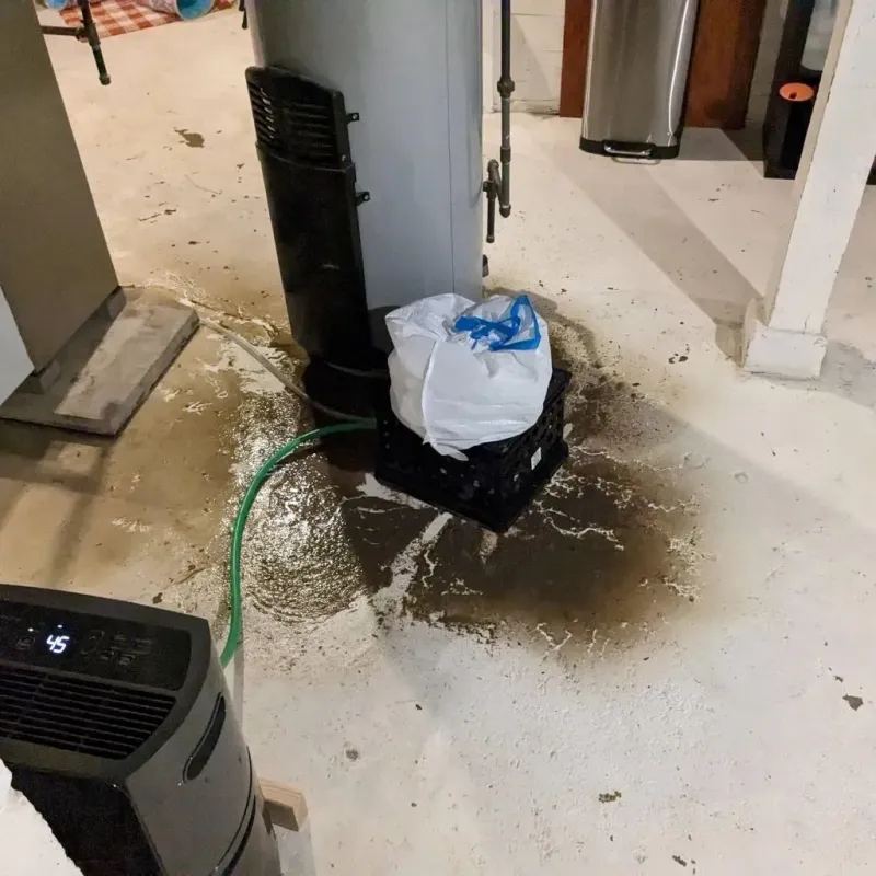Sewage Backup Cleanup Service in Adams County, IN